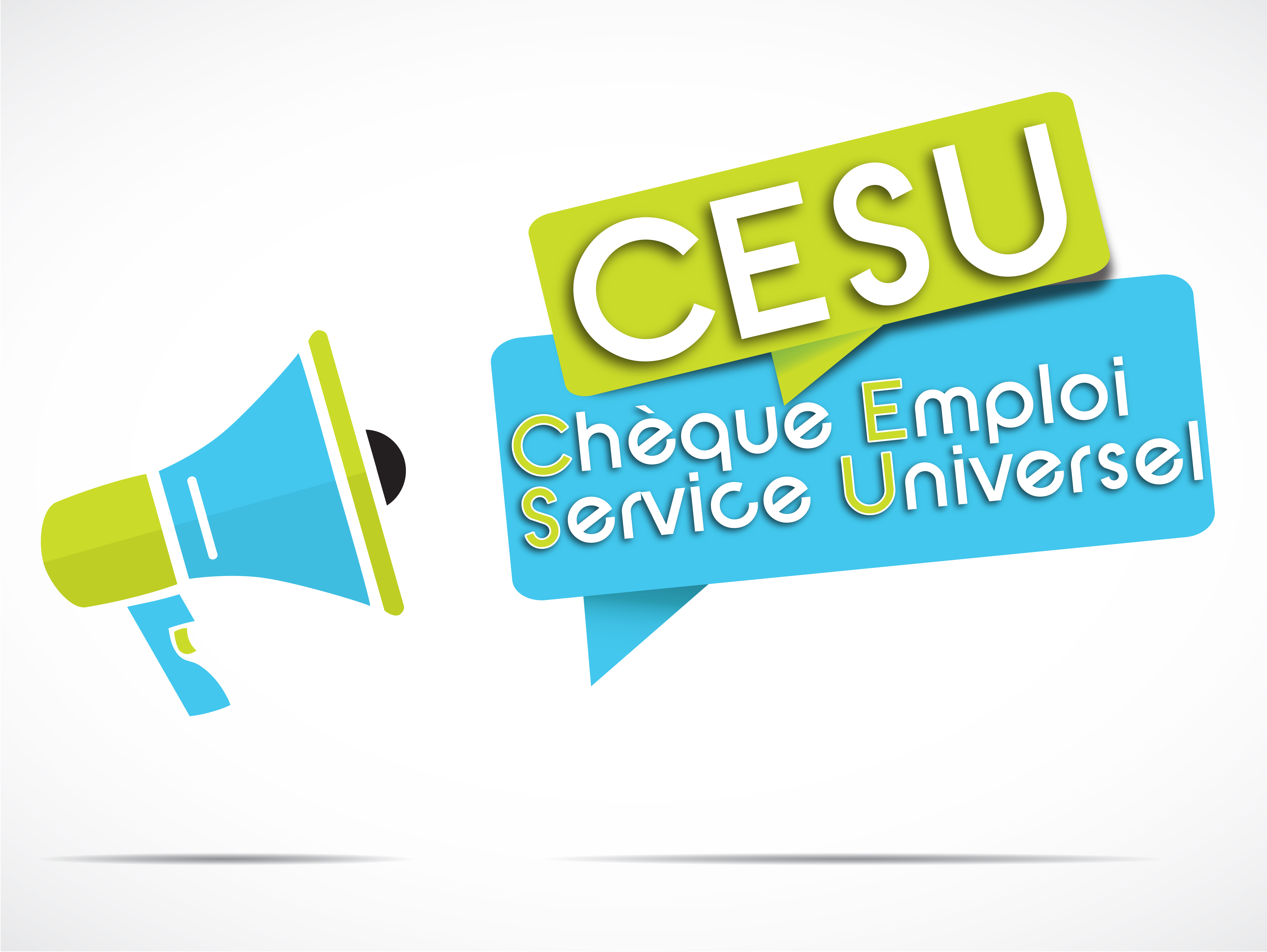 Chèque emploi service universel avec Agence Repassage Ménage inscription cesu en bleu et vert sur fond clair