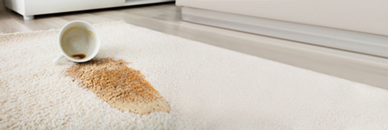 les produits courants pour enlever les tâches de café Tasse de café renversé sur un tapis blanc en laine