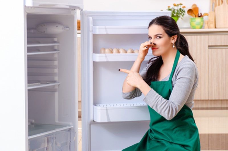 Causes des mauvaises odeurs dans le frigo Femme se pincant le nez après avoir ouvert un frigo
