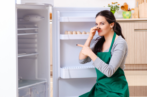 Causes des mauvaises odeurs dans le frigo Femme se pincant le nez après avoir ouvert un frigo