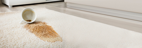 Tasse de café renversé sur un tapis blanc en laine