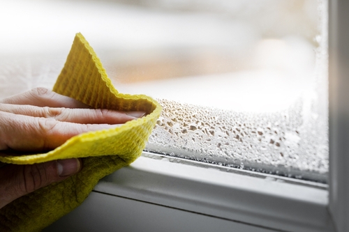 personne nettoyant l'humidité sur une fenêtre