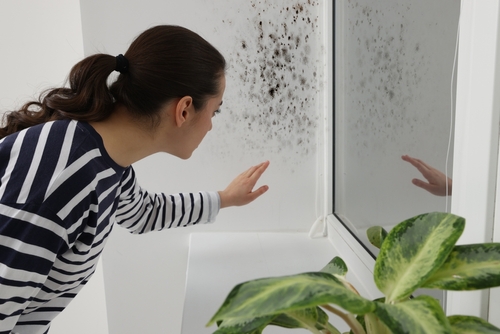 Enlever les traces de moisissures sur un mur Femme regardant des traces de moissisures sur un mur